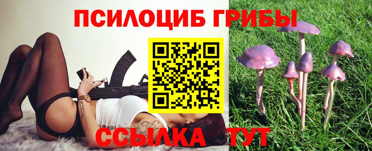Псилоцибиновые грибы GOLDEN TEACHER Ижевск