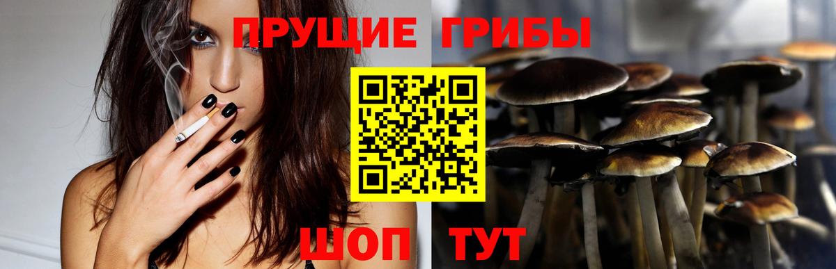 Псилоцибиновые грибы прущие грибы  Вход с VPN  Ижевск 